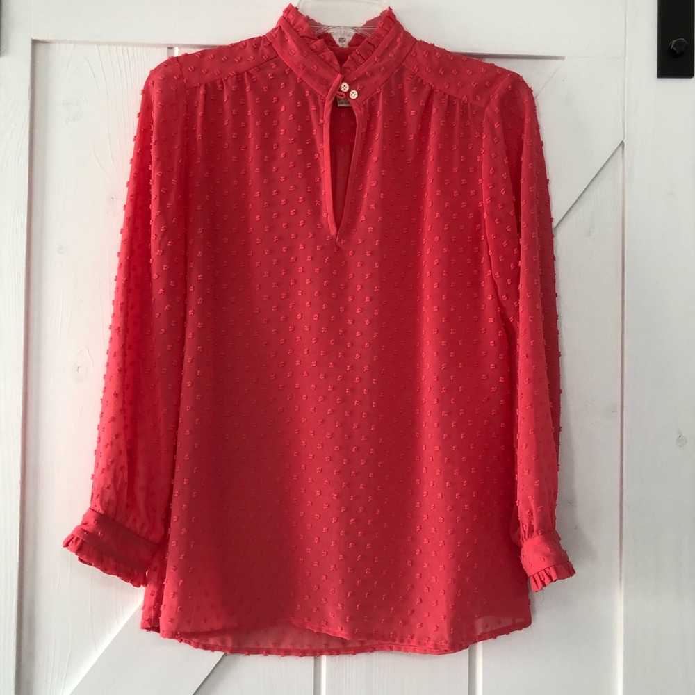 Super Cute J Crew Sheer Blouse